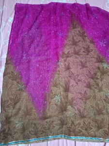 Brown &amp; Purple Embroidered Saree