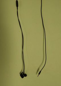 Earphones