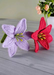 Beautiful Lily Flowers