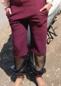 Burgundy Sheer Panel Pant