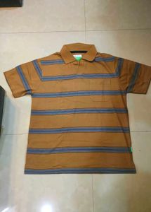 Striped Brown Polo Shirt