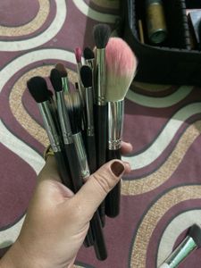 London pride PAC belly mixed Makeup  brush
