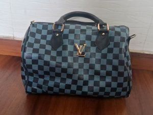 Louis Vuitton(master Copy) Bag