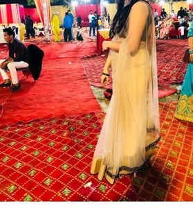 Elegant Beige Saree