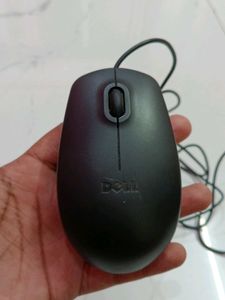 Mouse Dell