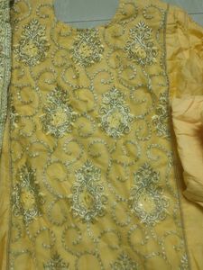 Elegant Ethnic Salwar Suit