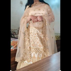 Elegant Embroidered Lehenga Choli Set