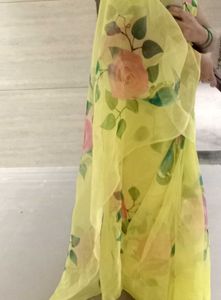 Pure Organza Saree
