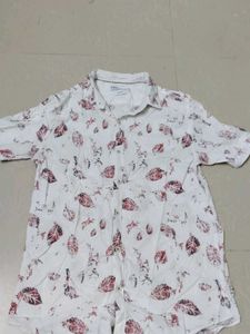 L- Size Shirt