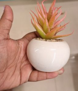 2pc Artificial Mini Desktop Plant