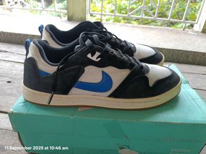 Nike SB Allyoop Original Pairs