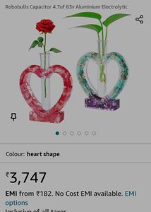 Heart Testube Planter