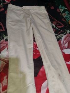 Beige Straight Leg Pants
