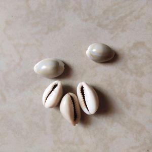 DS Natural Kawdi, Kaudi, Kowdi, Cowrie, Koudi, Kodi Shells Stone Packet - Set of 5 for Laxmi Pooja, Nazar