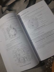 Science Exemplar