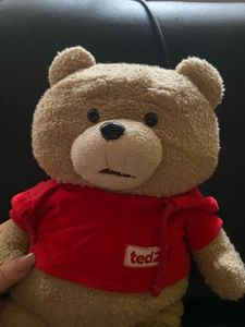 Ted 2 Plush