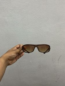 Brown Sunglasses