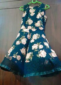 Floral Fit & Flare Dress