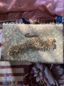 Partywear Golden Purse