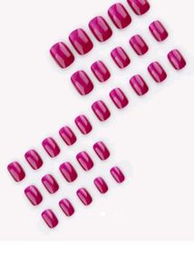 Korean Chrome Urbanic Nail Extensions / Press On