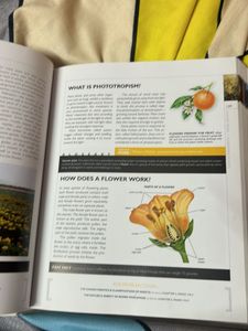 National Geographic Answer Book