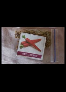 Flower And Vegis Seeds
