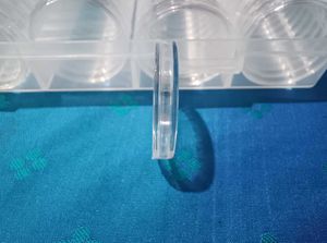 Coin Capsules 120Ps With Adjustable Foam And Box