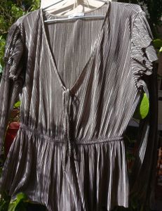Zara Silver Pleated Blouse