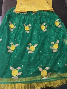 Ethnic lehenga Choli Set