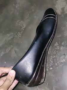Black Bellies