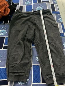 Jogger Grey Colour