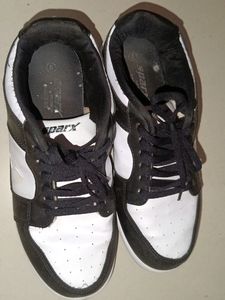 New Sparx Sneaker Shoes