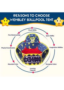 New Kids pit ball toy with 18 balls