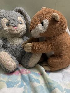 Stuffed Animal Duo