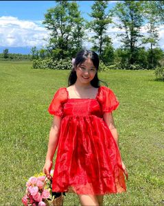 Customized Organza Mini Dress