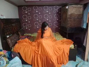 Elegant Ethnic Gown