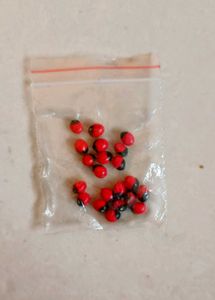 Gujrati Gumchi Beej Packet 21 Pieces