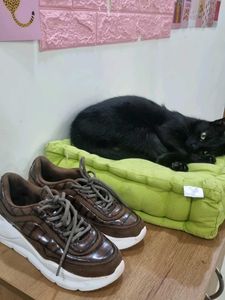 New Catwalk Brown Sneakers UK 3, Eu 36. 22 Cms