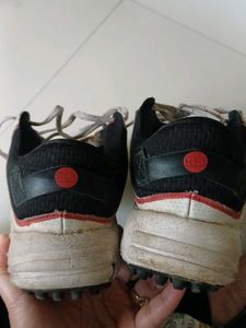 Cricket Shoes