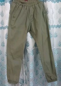 Sage Colour Casual Pants.