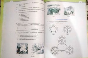 NEET Prep Book-34 Yr Solved MTG &amp; Biology Exampler