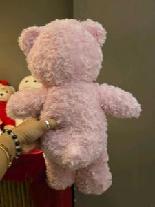 Pink Teddy Bear