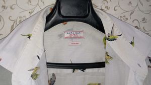 Zara Man Bird Shirt