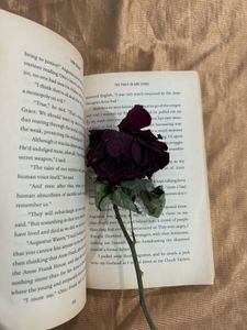 The Fault in Our Stars by John Green