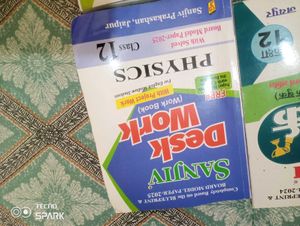 Class 12 Sanjiv Desk Work Guides