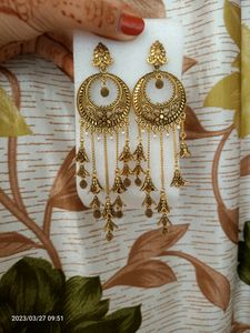 Beautiful Earring