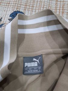 Puma X BMW Khakhi Polo T-shirt