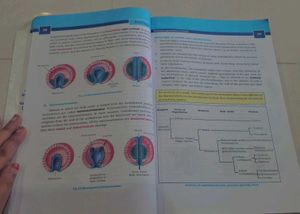 Textbooks: Physics, Chemistry, Zoology