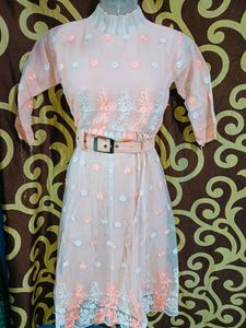 Inner Rayon And Outer Net Cloth Peach Colour Top
