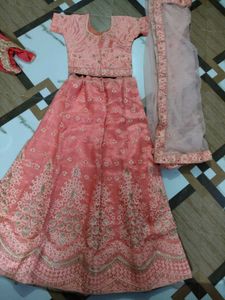 Elegant Peach Lehenga Choli Set